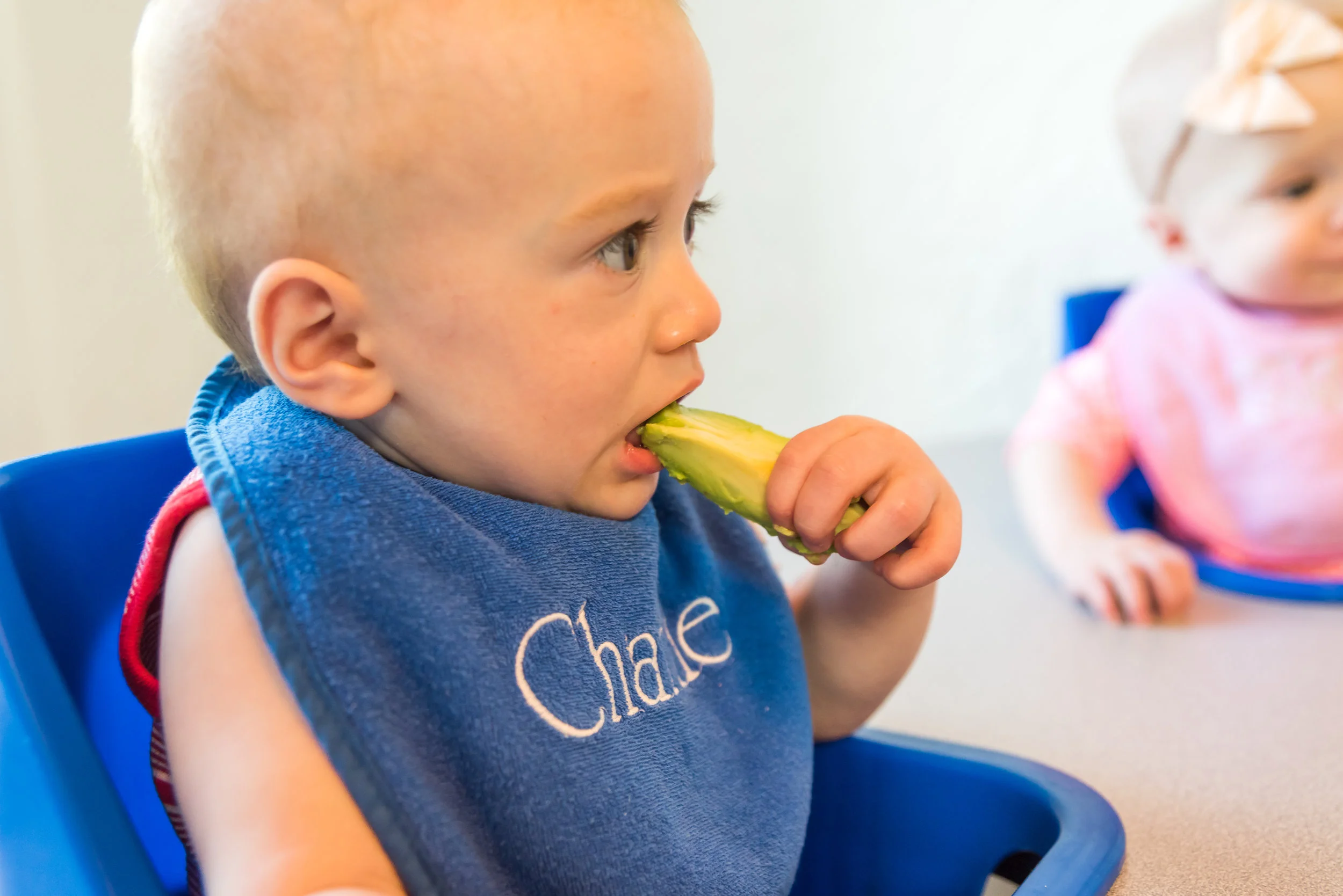 Avocados A Perfect First Food for Baby Led Weaning — Fortified Family