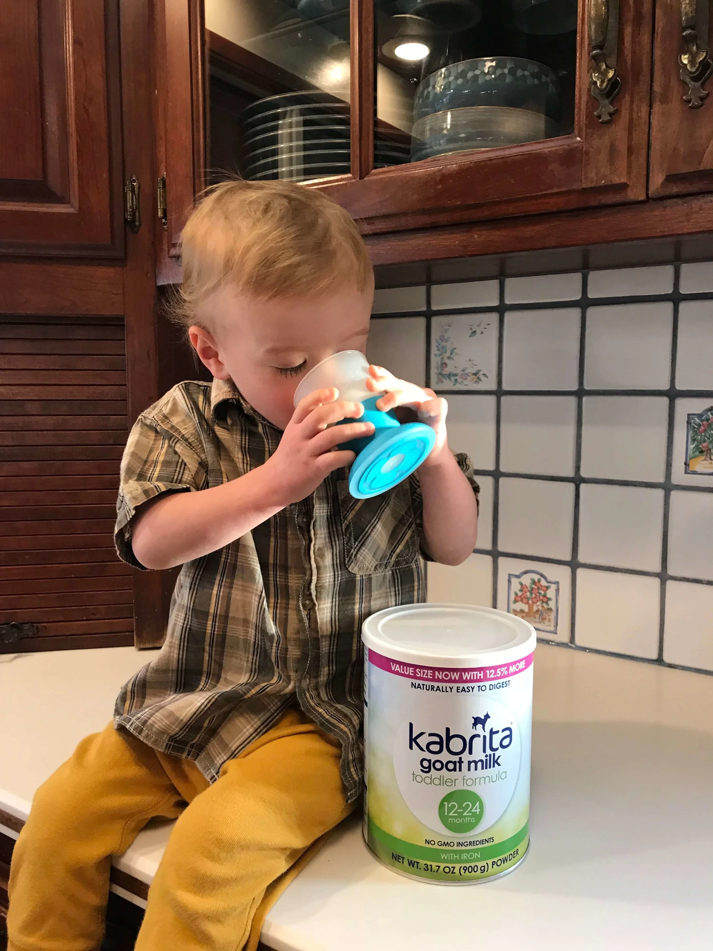 Experimenting with Goat's Milk Formula for Eczema — Fortified Family
