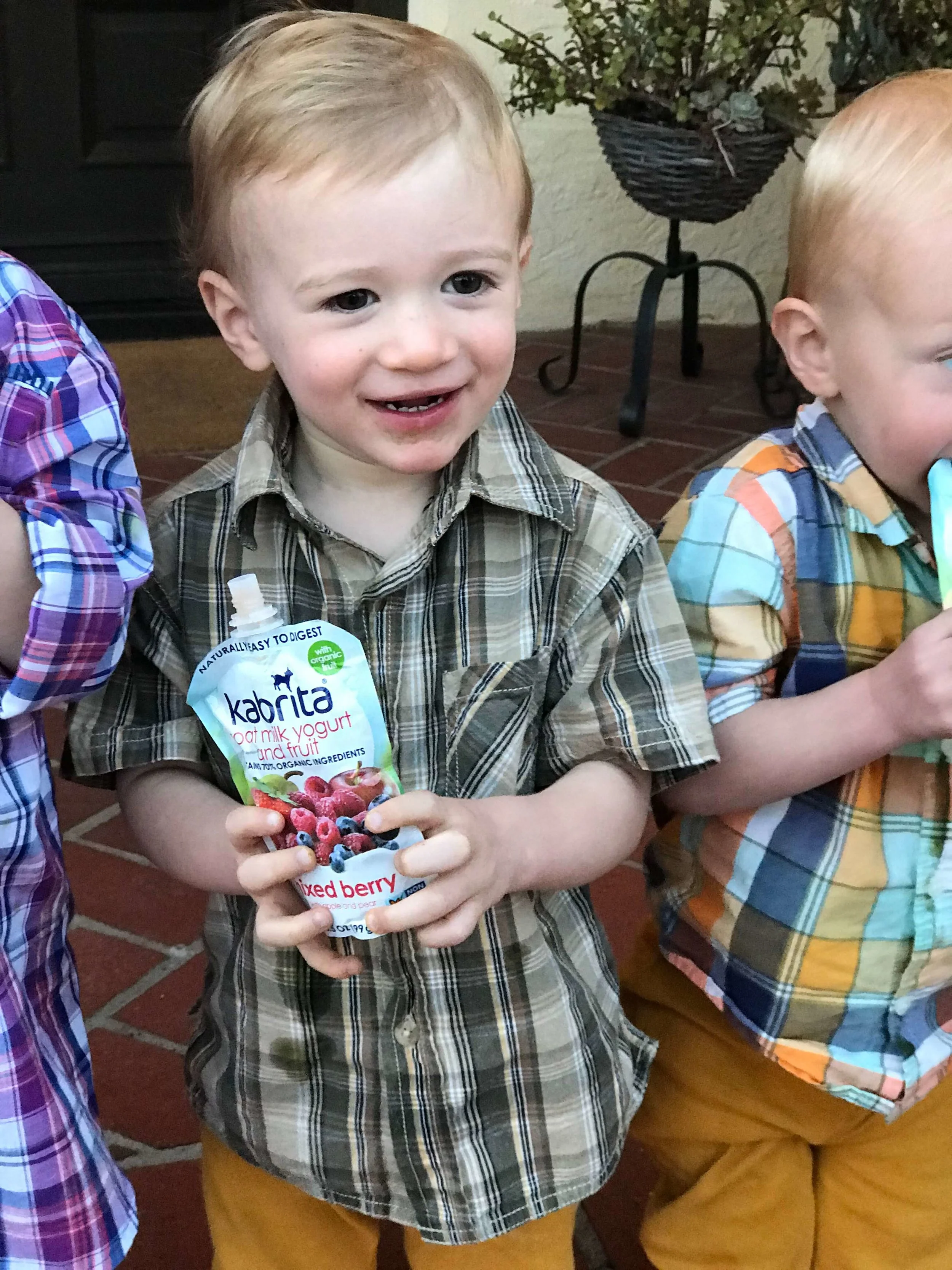 Experimenting with Goat's Milk Formula for Eczema — Fortified Family