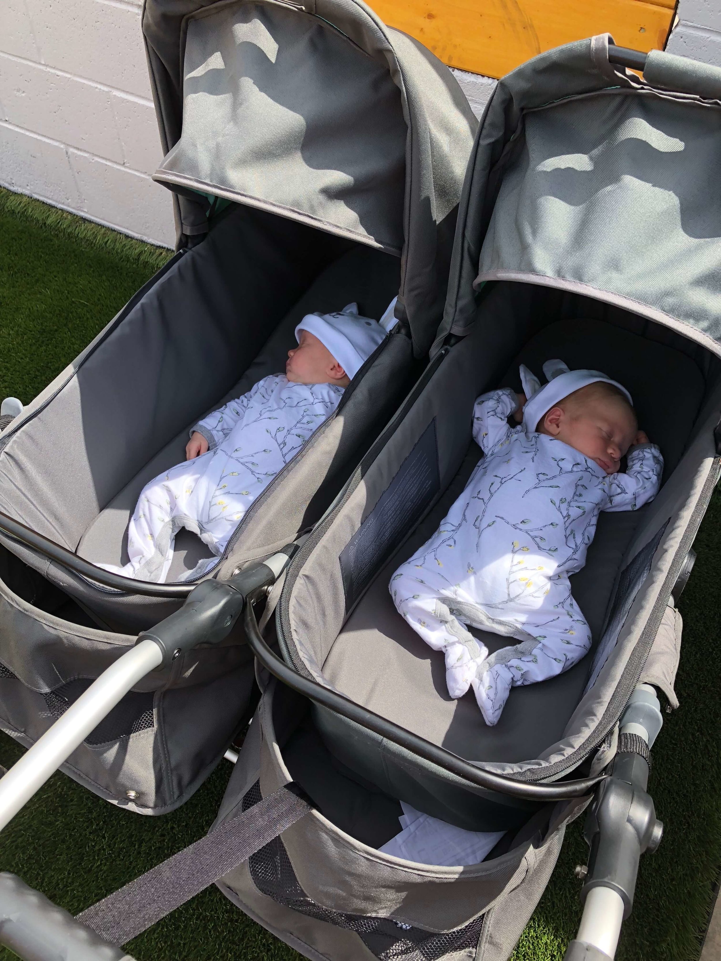 twin baby bouncer