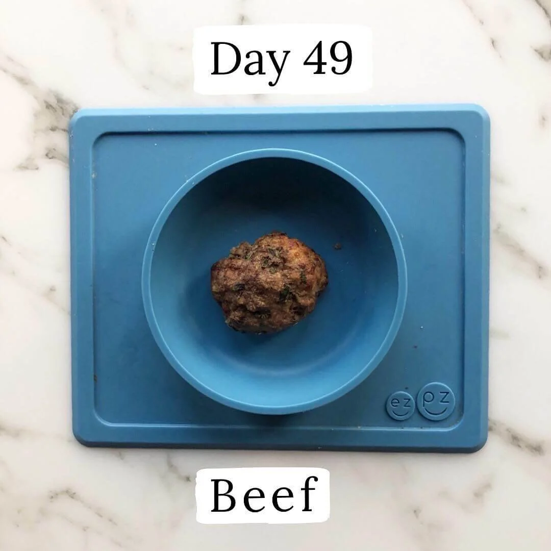 5 Ground Beef Recipes for BabyLed Weaning — Fortified Family