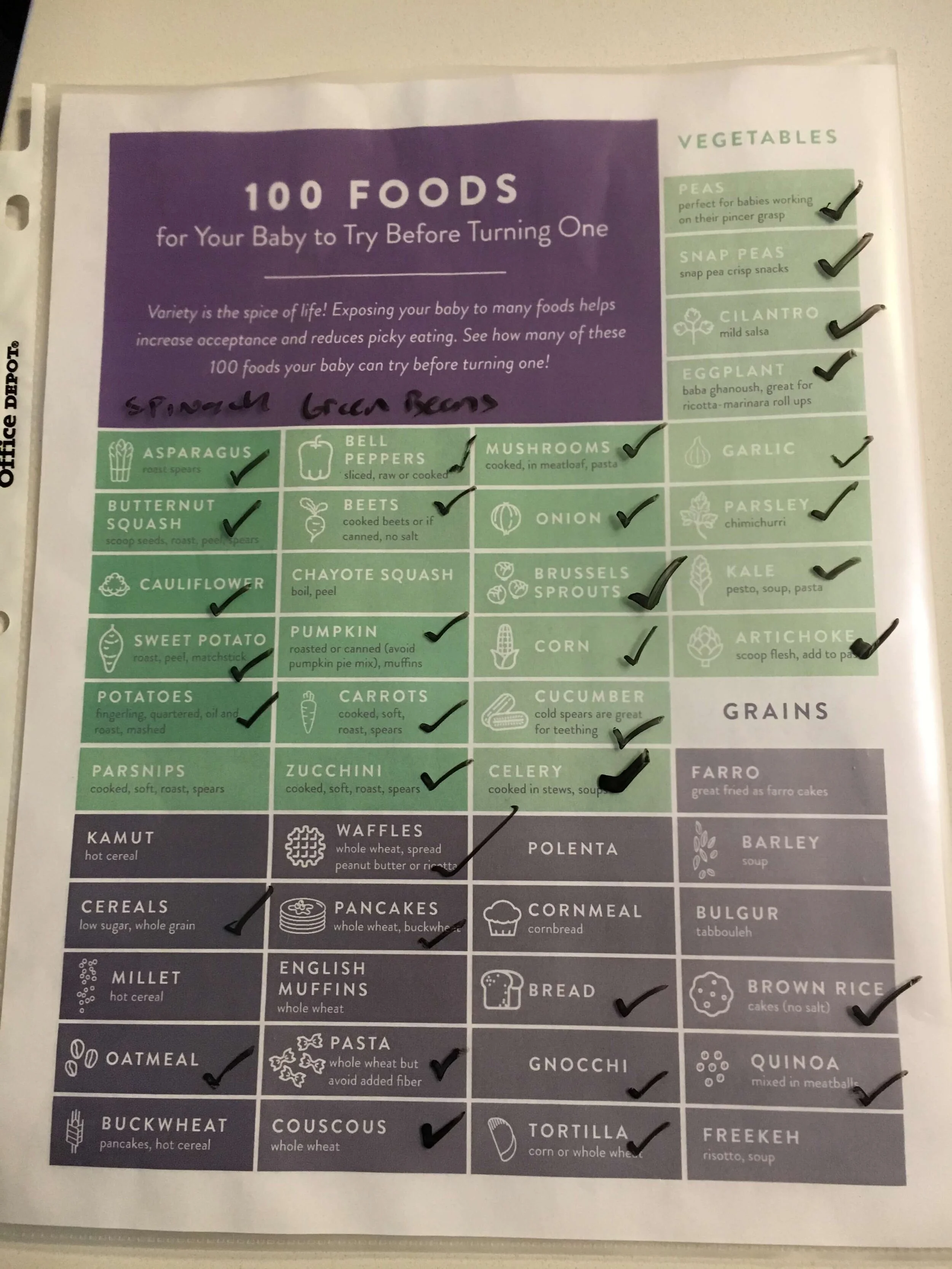 5 Ground Beef Recipes for BabyLed Weaning — Fortified Family