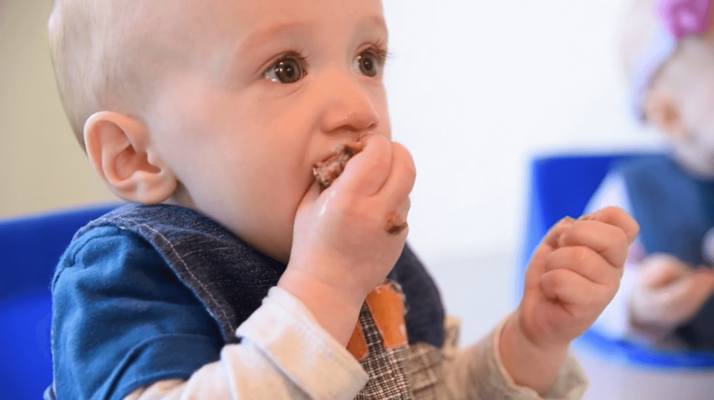 baby led weaning recipes for whole family