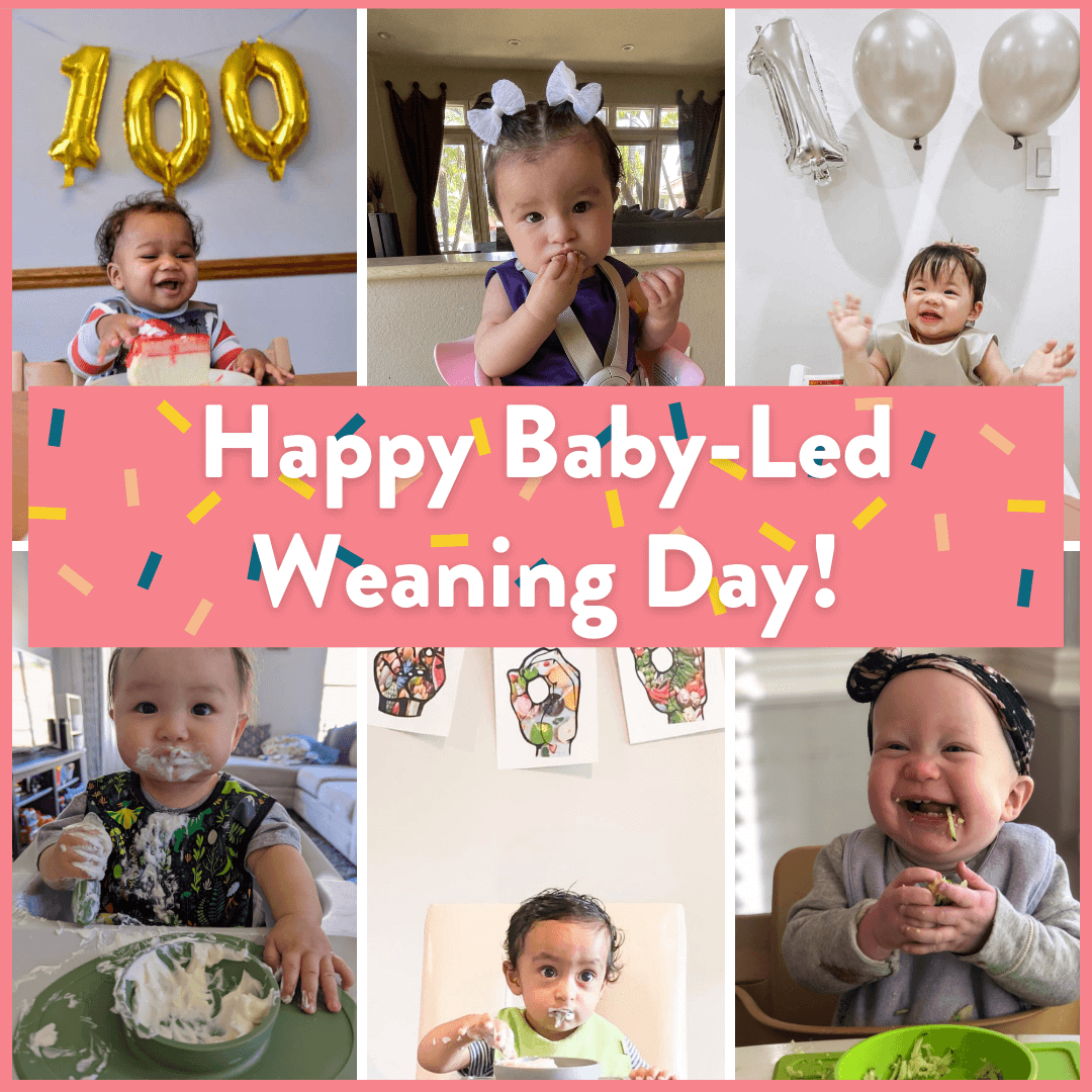 5 to Baby-Led Weaning Day — Fortified Family