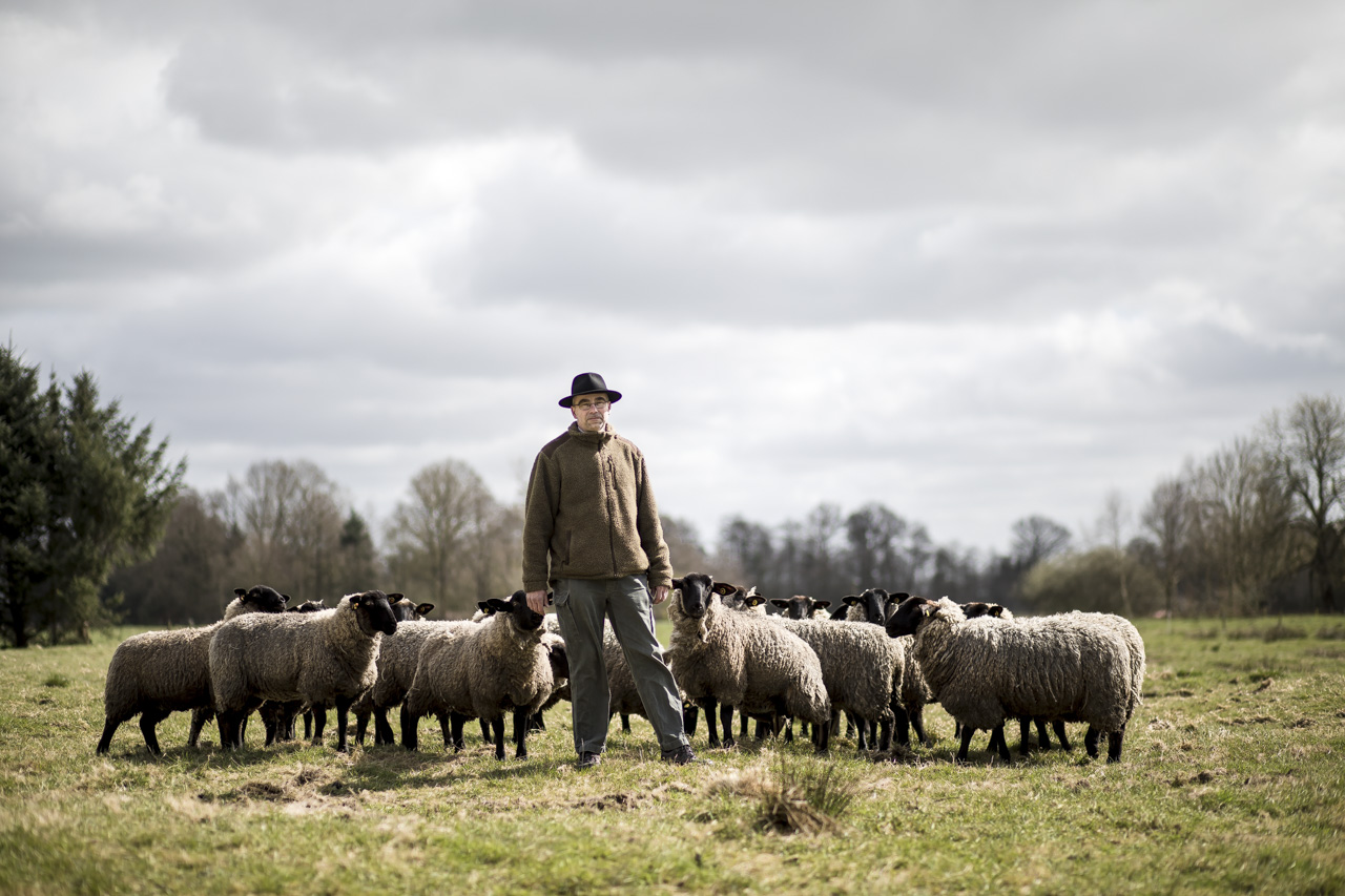  sheeper  for Weser Kurier 