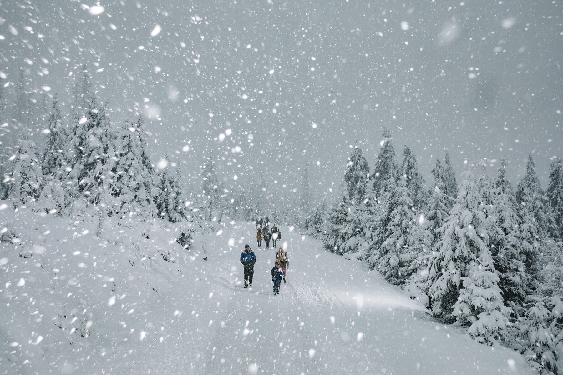  Although the authorities are urging everyone to stay at home, many people are take trips to the German snow areas in winter. 