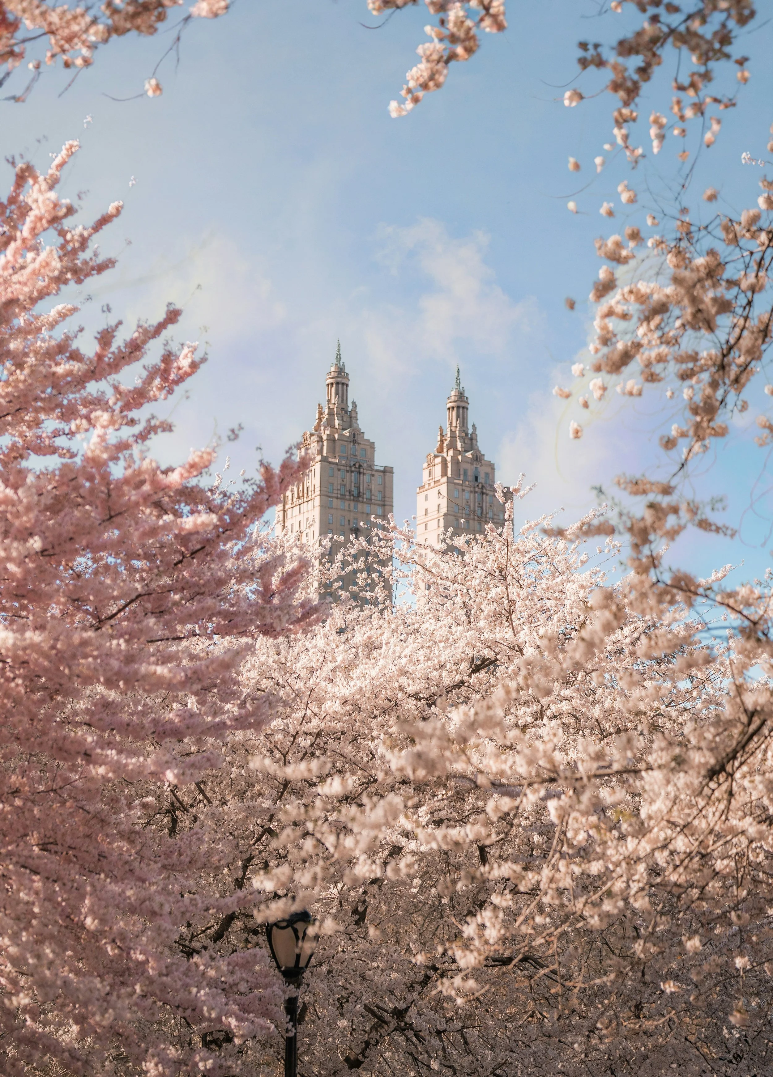 toan-chu-dDMjV2rulOg-unsplash (2).jpg