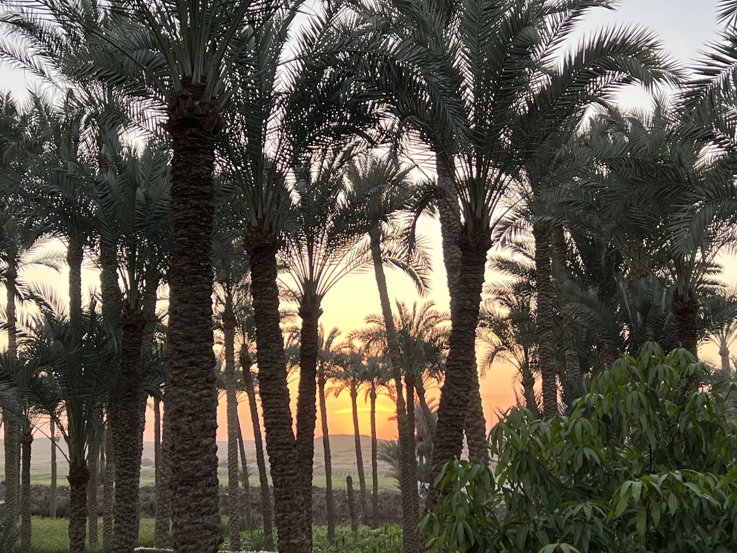 Ramadan MINDFULNESS Retreat