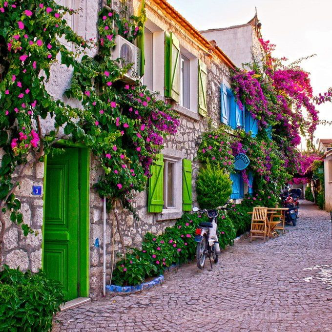 Design Your Success Retreat 