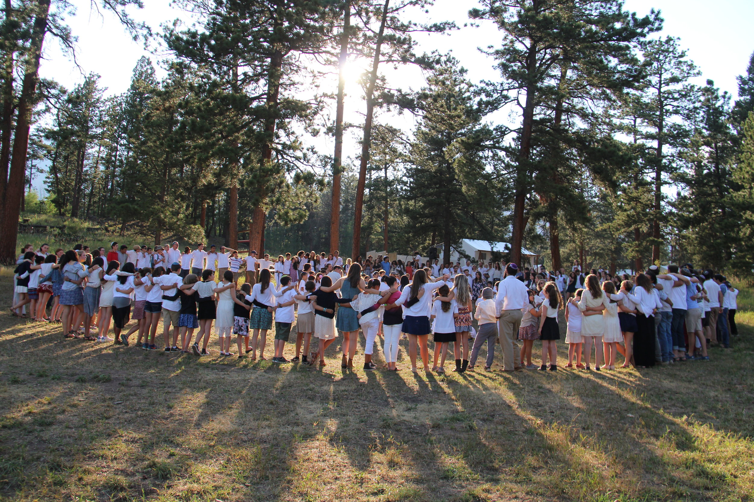 Ramah Alumni Survey: A Summary