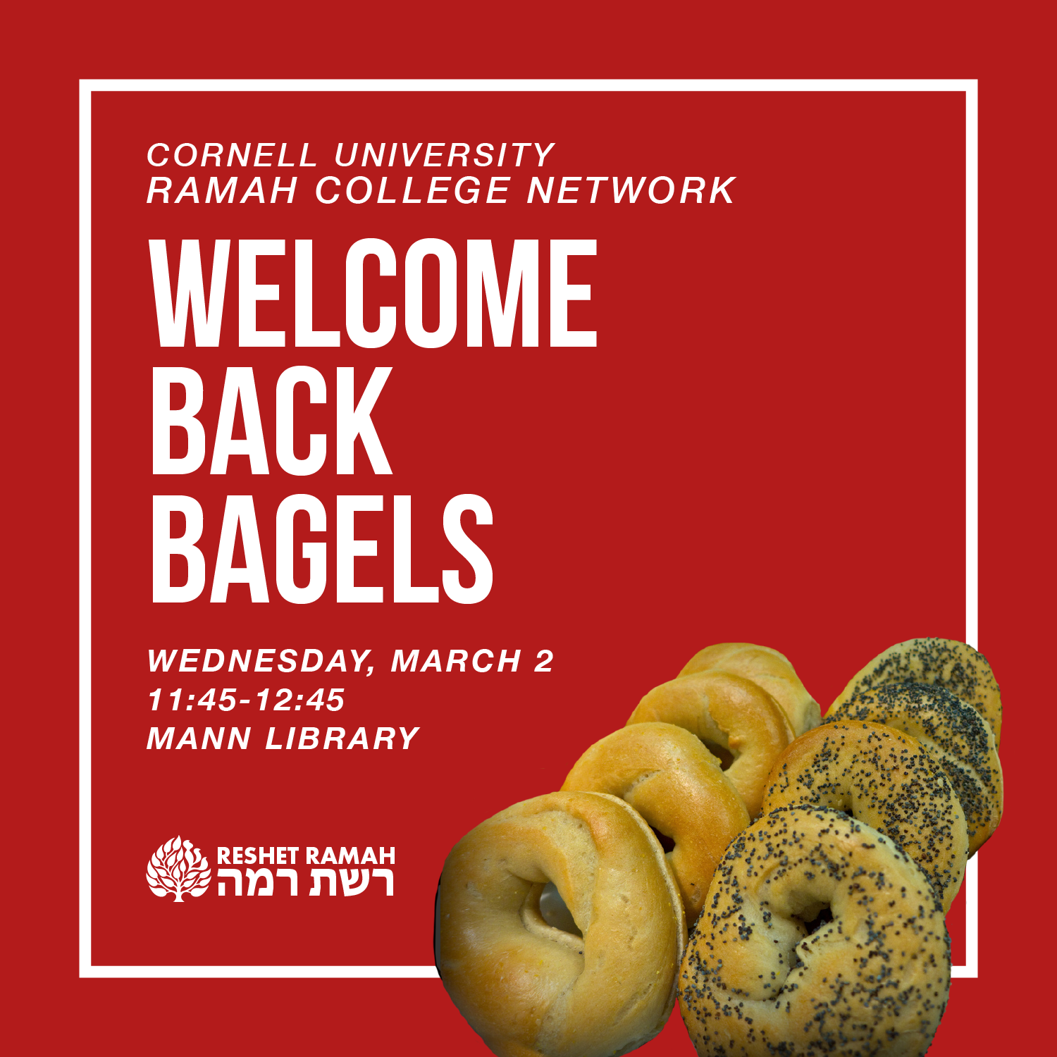 Cornell_Bagels_sq-01.png