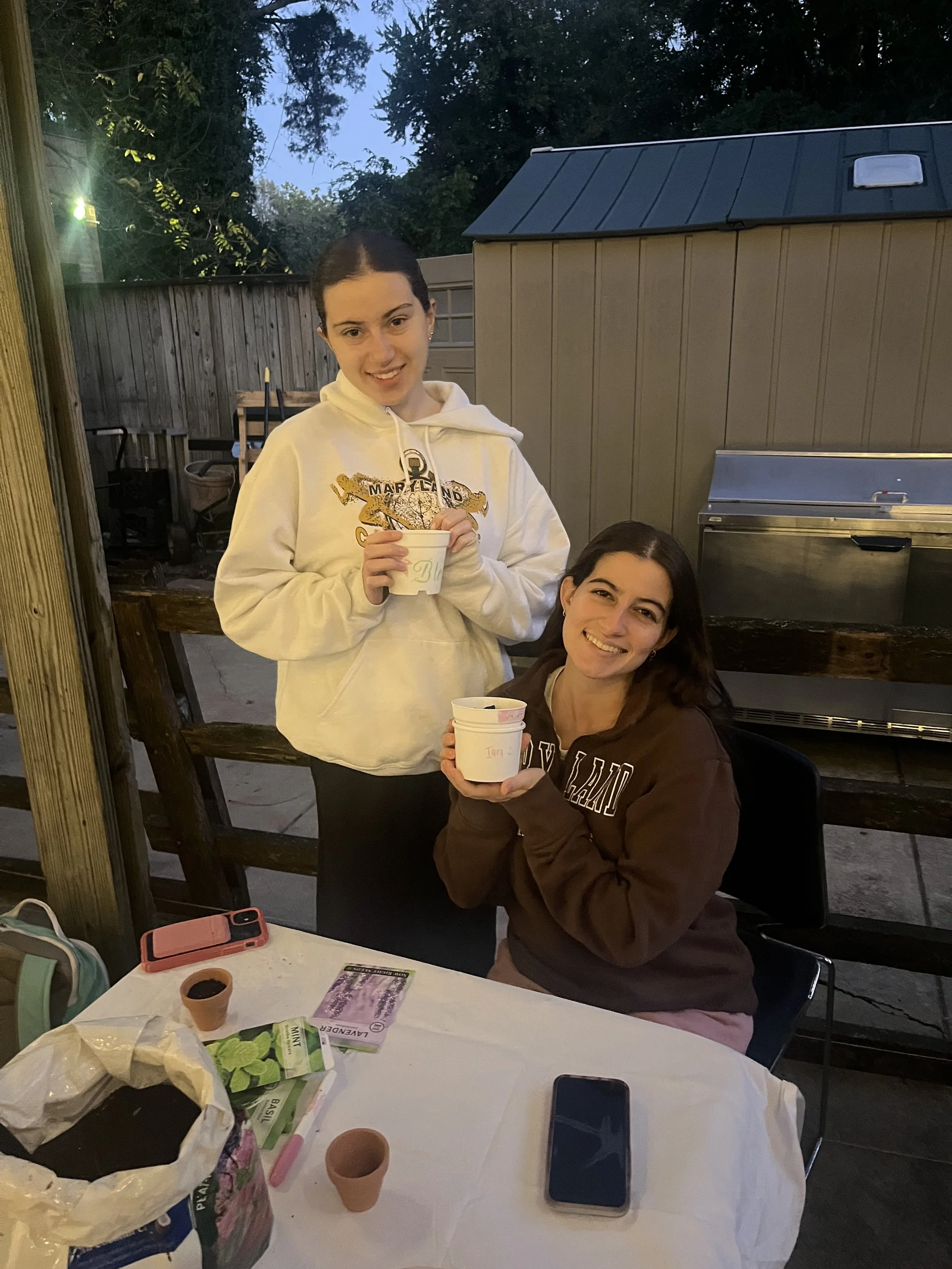 Sukkot plant decorating.jpg