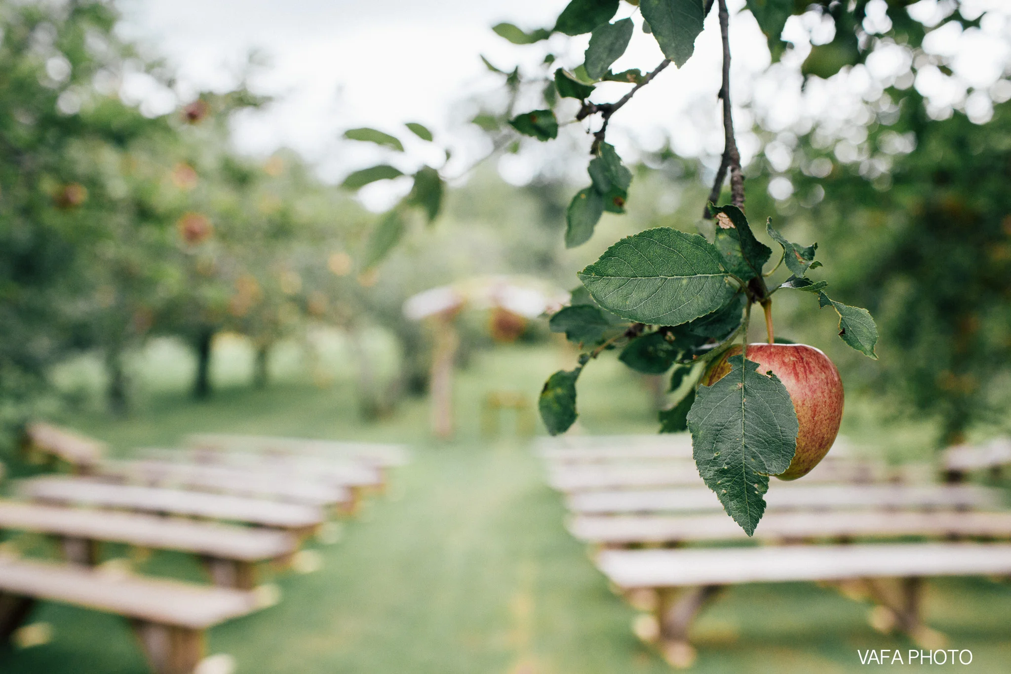 Belsolda-Farm-Wedding-Christy-Eric-Vafa-Photo-352.jpg
