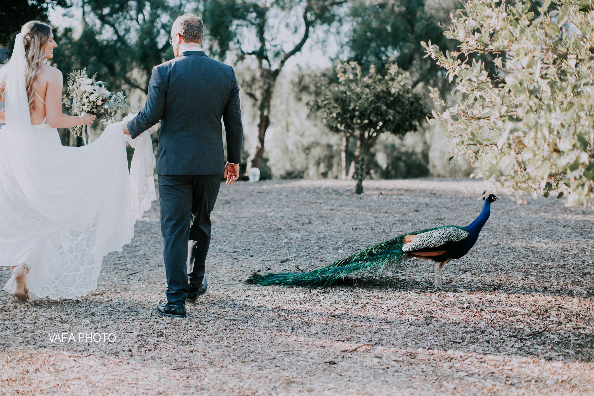 Leo-Carrillo-Ranch-Wedding-Lauren-Mike-Vafa-Photo-708.jpg