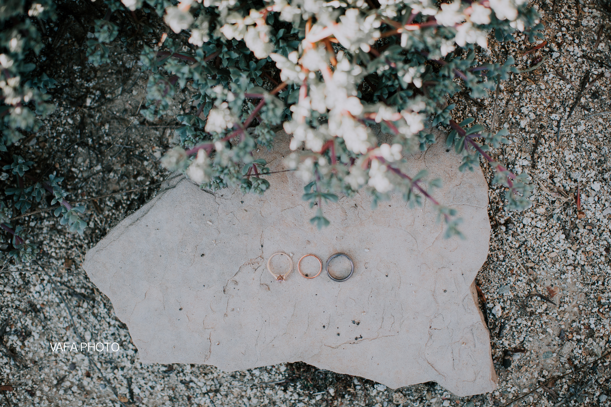 Leo-Carrillo-Ranch-Wedding-Lauren-Mike-Vafa-Photo-814.jpg