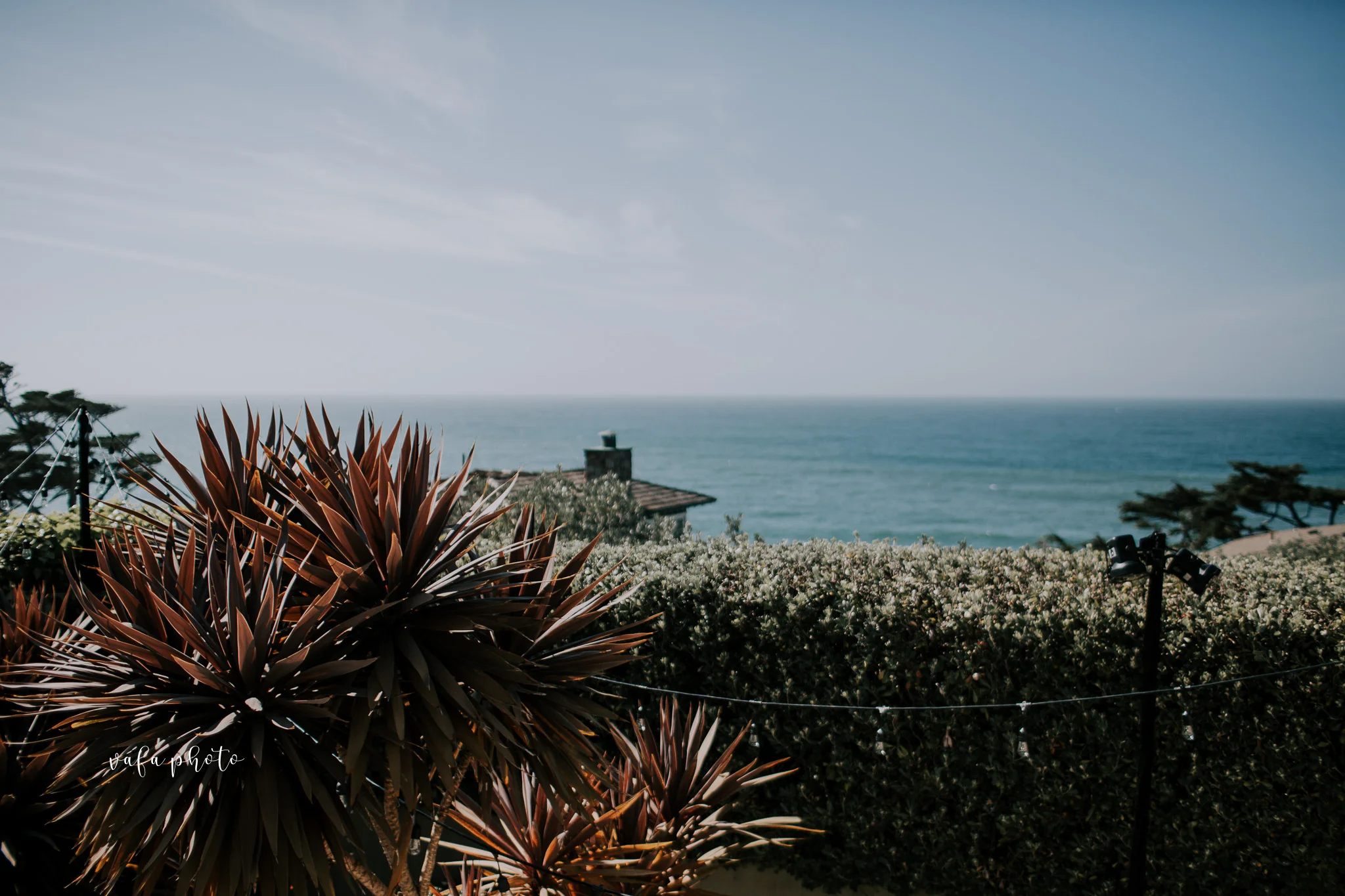 Backyard-Wedding-Montara-California-Megan-Josh-Vafa-Photo-37.jpg