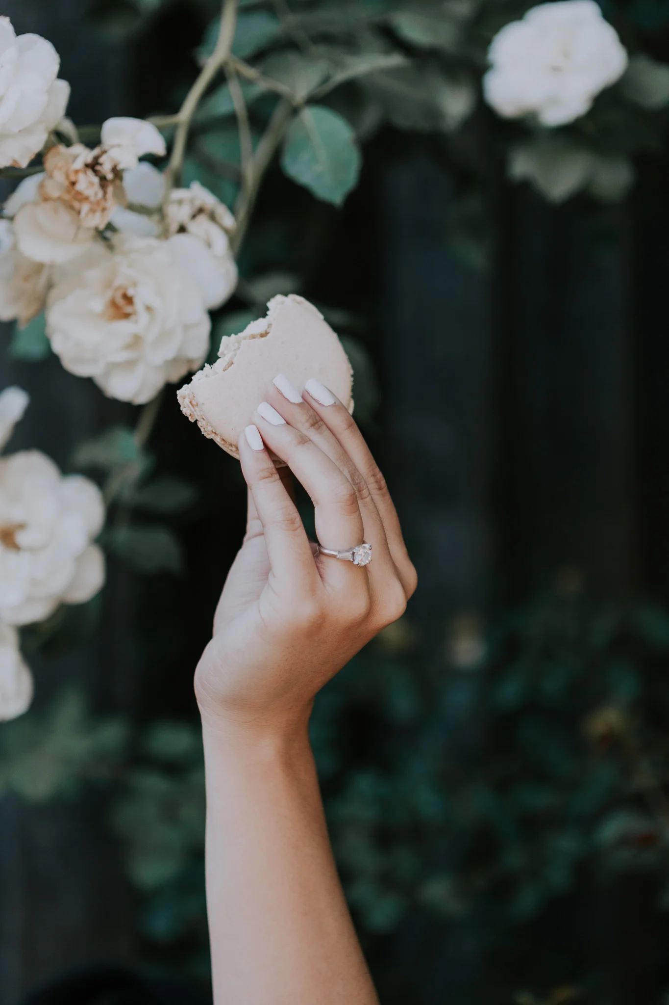 Napa-Valley-Engagement-Shannon-Karl-Vafa-Photo109.jpg