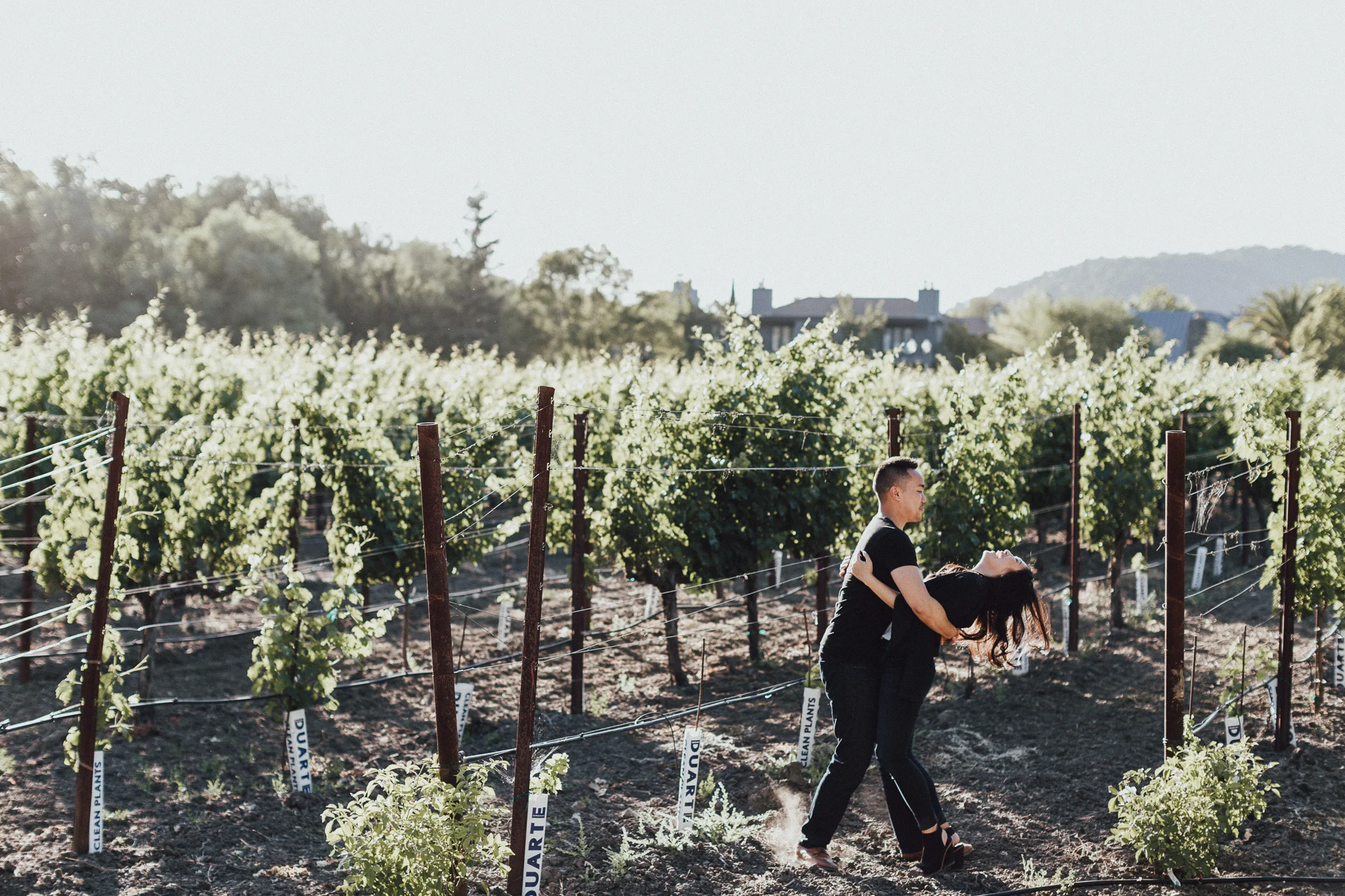 Napa-Valley-Engagement-Shannon-Karl-Vafa-Photo188.jpg