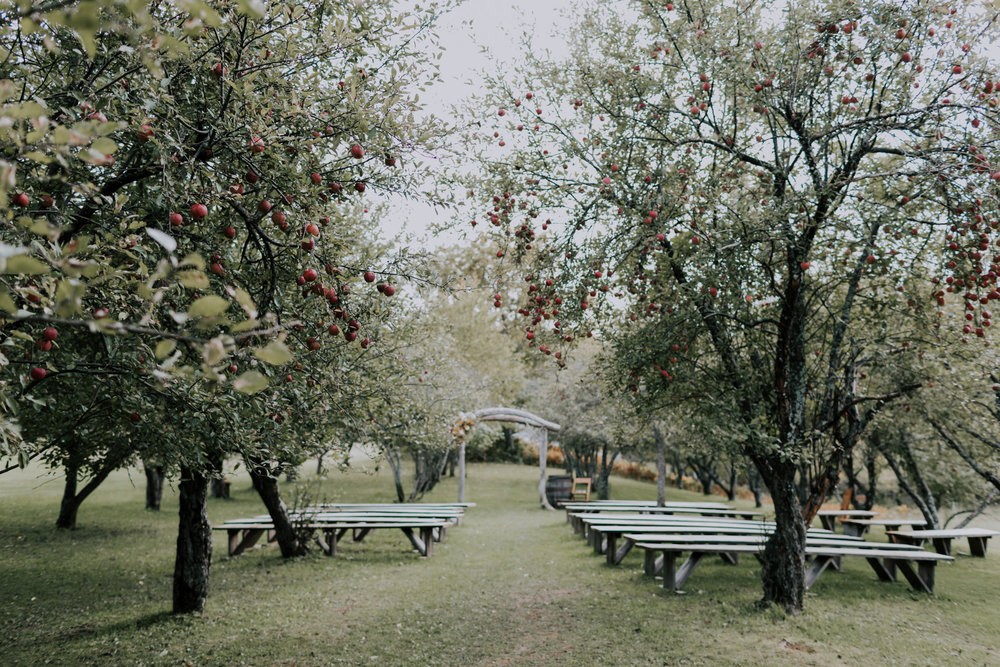 Belsolda-Farm-Wedding-Marquette-MI-Addie-James-Vafa-Photo343.jpg