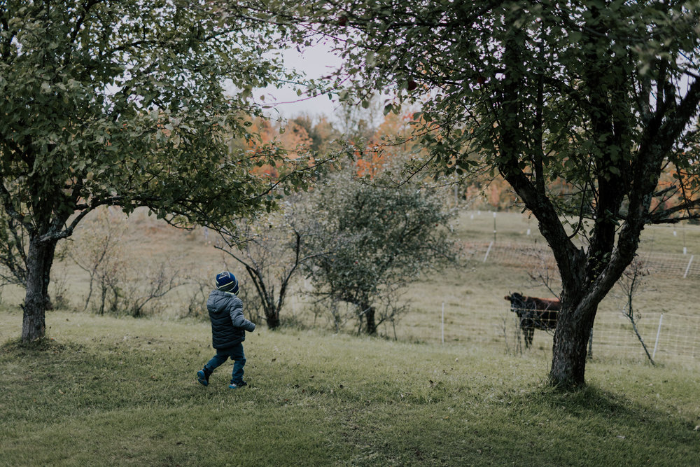 Belsolda-Farm-Wedding-Marquette-MI-Addie-James-Vafa-Photo387.jpg