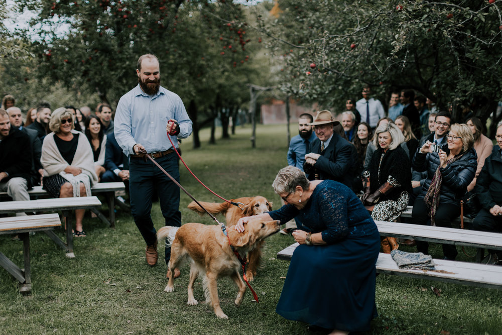 Belsolda-Farm-Wedding-Marquette-MI-Addie-James-Vafa-Photo439.jpg