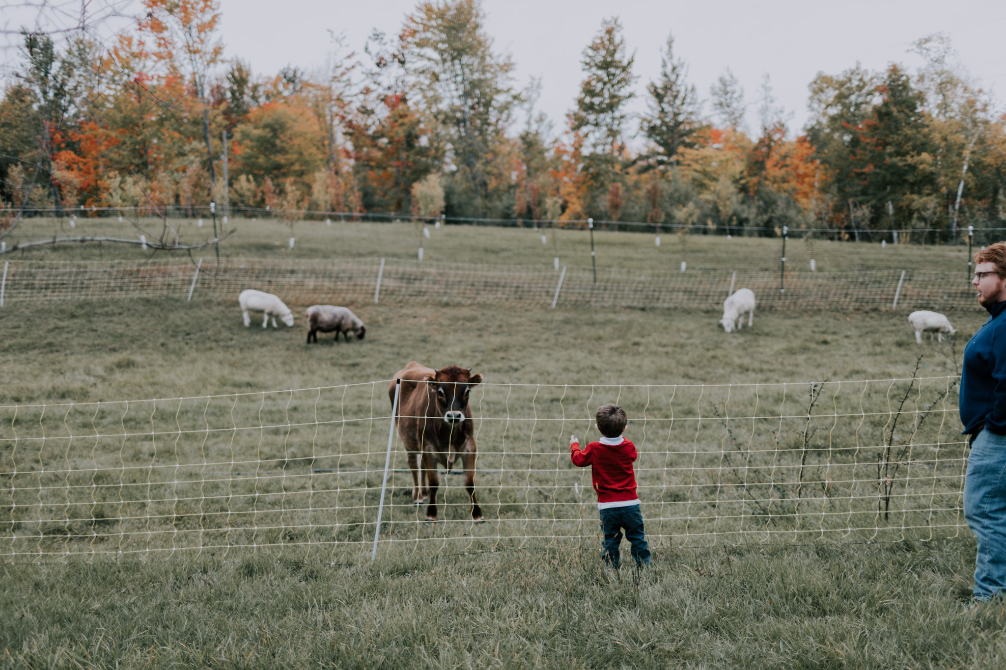 Belsolda-Farm-Wedding-Marquette-MI-Addie-James-Vafa-Photo788.jpg