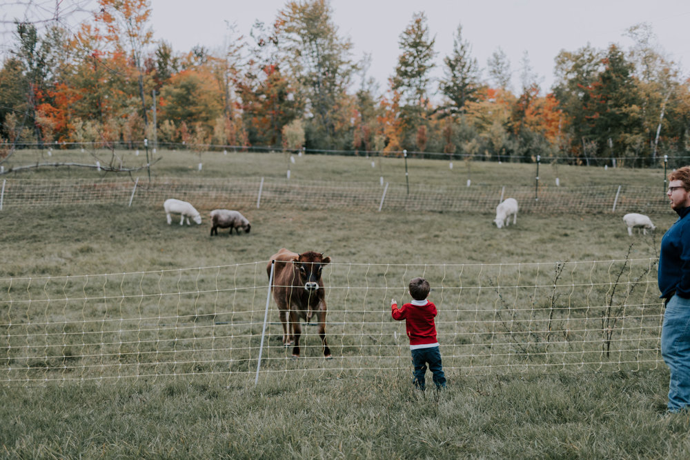 Belsolda-Farm-Wedding-Marquette-MI-Addie-James-Vafa-Photo788.jpg