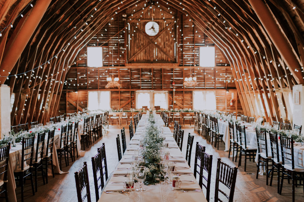 Blue-Dress-Barn-Michigan-Wedding-April-Seth-Vafa-Photo641.jpg