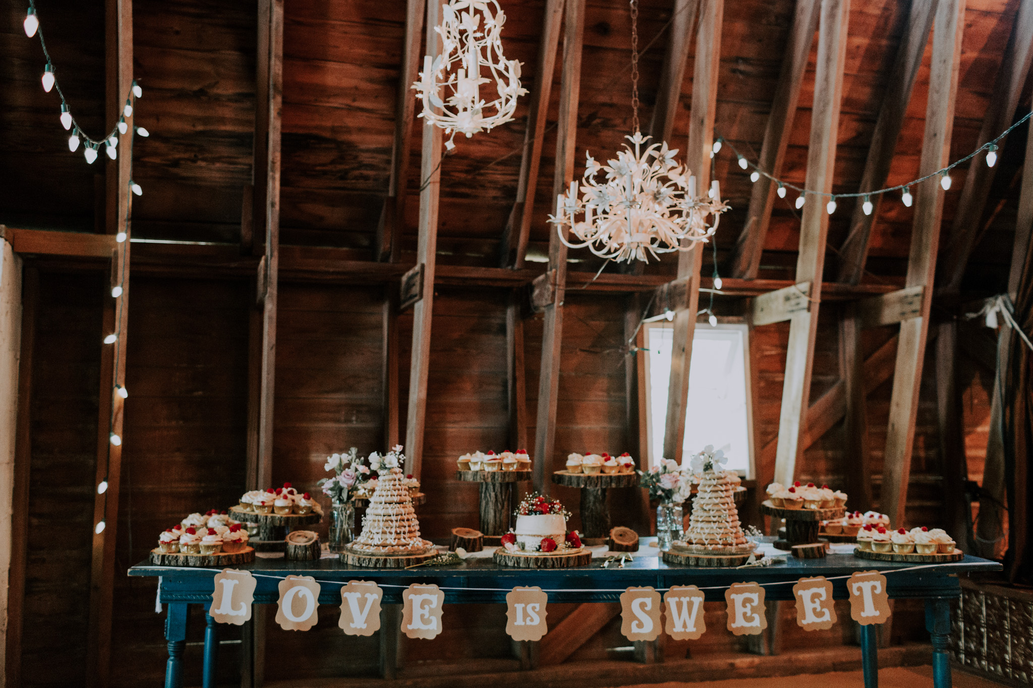 Blue-Dress-Barn-Michigan-Wedding-April-Seth-Vafa-Photo661.jpg