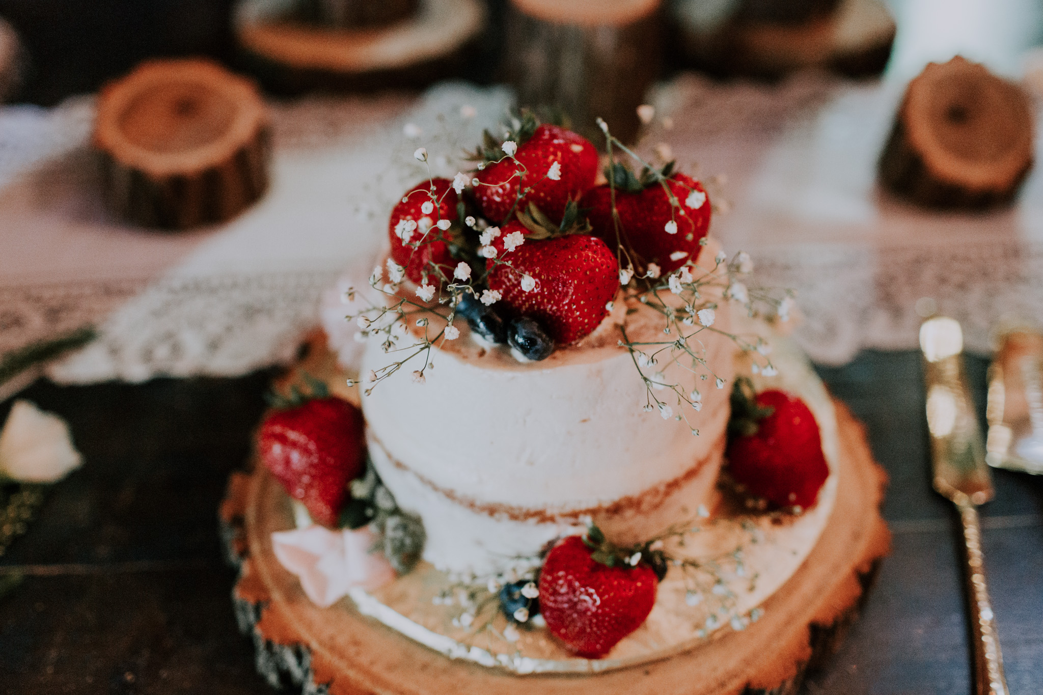 Blue-Dress-Barn-Michigan-Wedding-April-Seth-Vafa-Photo672.jpg