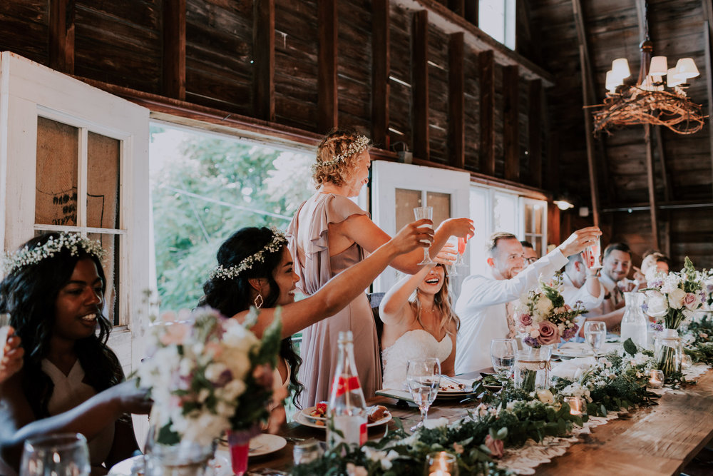 Blue-Dress-Barn-Michigan-Wedding-April-Seth-Vafa-Photo737.jpg