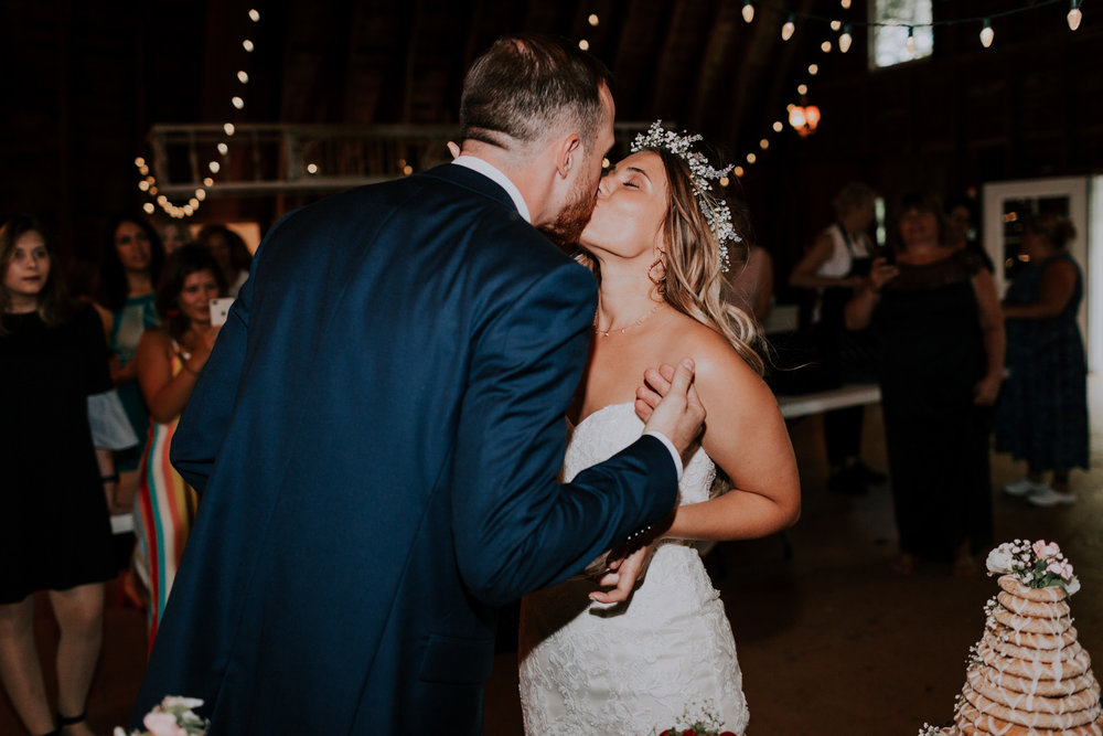 Blue-Dress-Barn-Michigan-Wedding-April-Seth-Vafa-Photo772.jpg