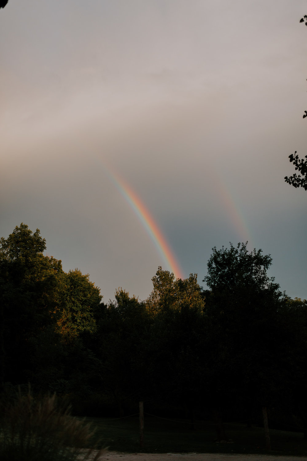 MillCreek-Wilde-Wedding-Barn-Michigan-Eliza-Eric-Vafa-Photo1155.jpg