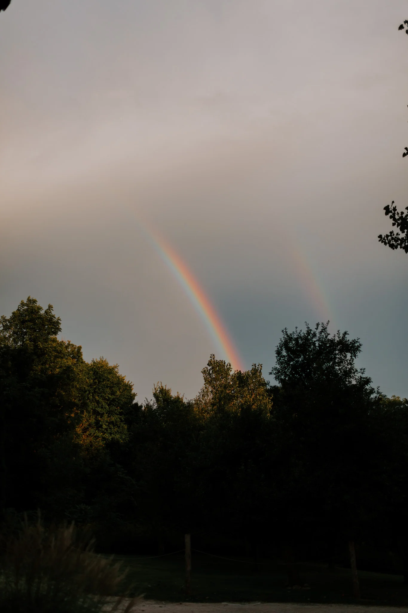 MillCreek-Wilde-Wedding-Barn-Michigan-Eliza-Eric-Vafa-Photo1155.jpg