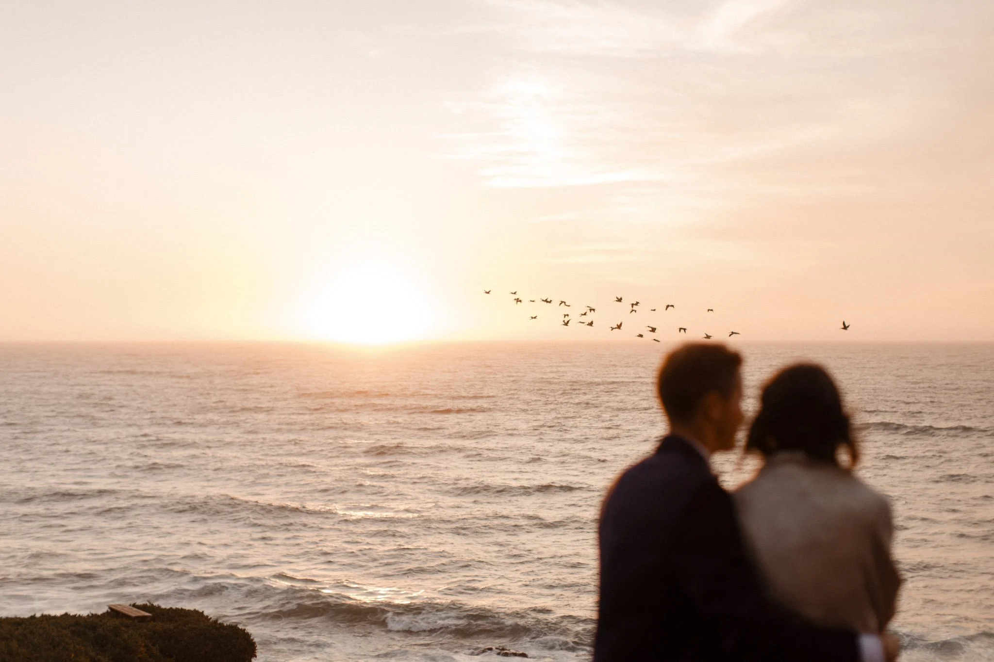 Backyard-Wedding-Montara-California-Megan-Josh-Vafa-Photo-726.jpg
