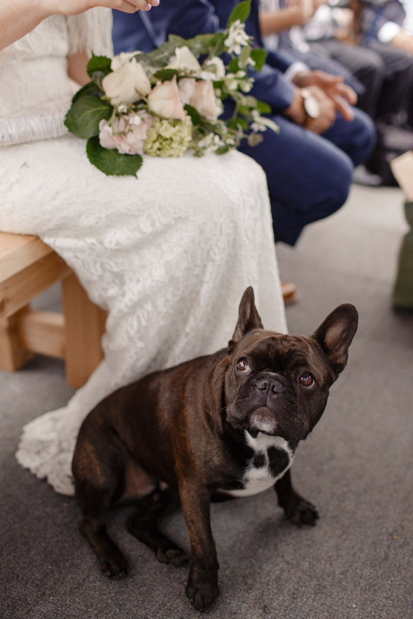 Michigan-Lake-House-Wedding-Madeline-Patrick-Vafa-Photo-690.jpg