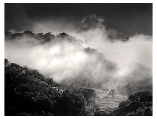 Carmel Valley after Winter Storm