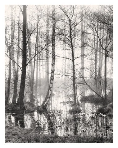 Marsh, Study 2