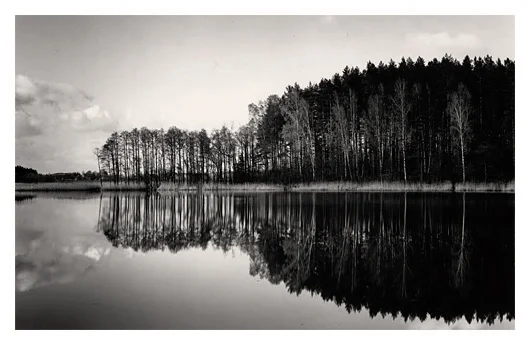 Floating Trees