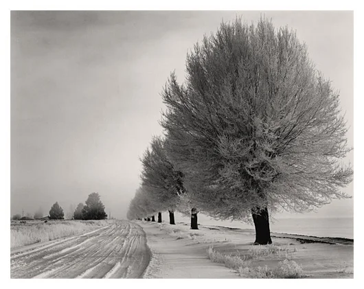 Dorris in Winter