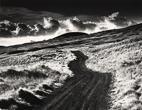 road_to_mauna_kea_lg.jpg