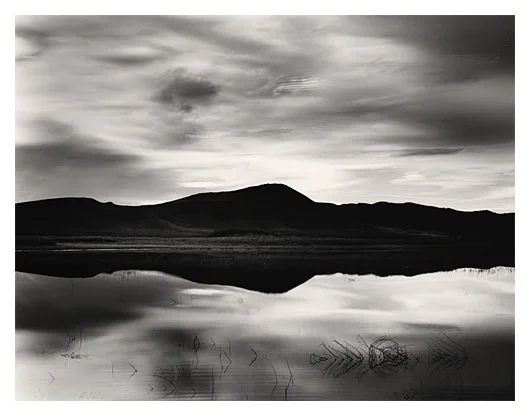 Mirror Wetland (With new book only)