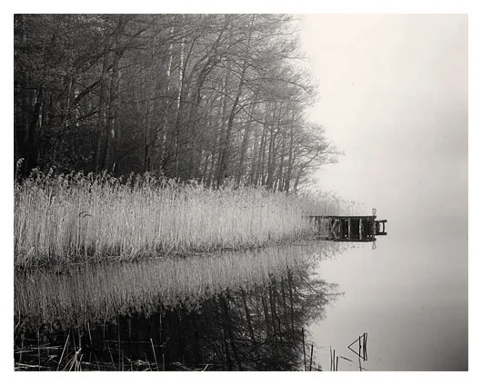 Pier in the Tules