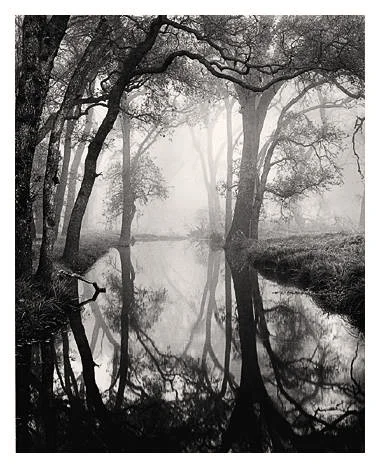 Backwater