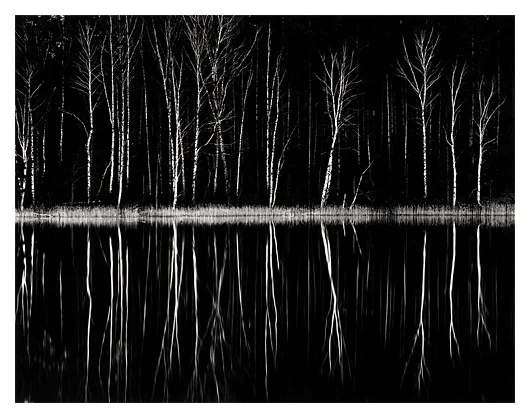 Black Forest