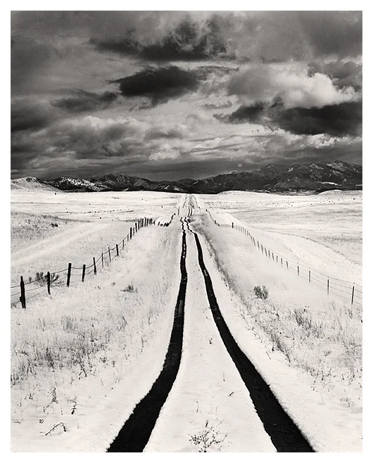 Homeward Bound