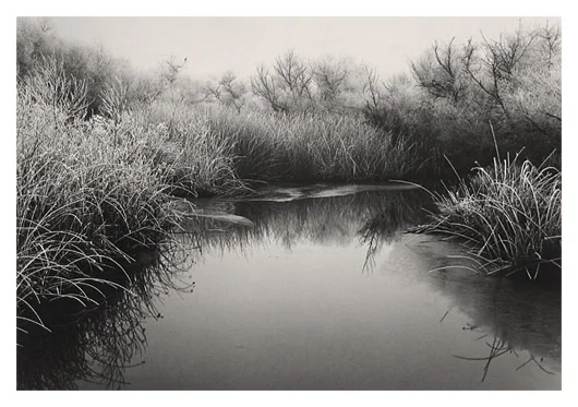 Frosted Slough