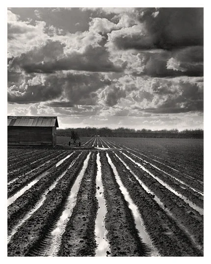 Tin Roof and Thunderheads