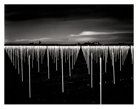 Beckwith Orchard