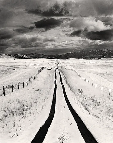 homeward_bound_lg.jpg
